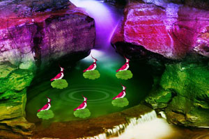 赏金女王模拟器(无限金币)中文版